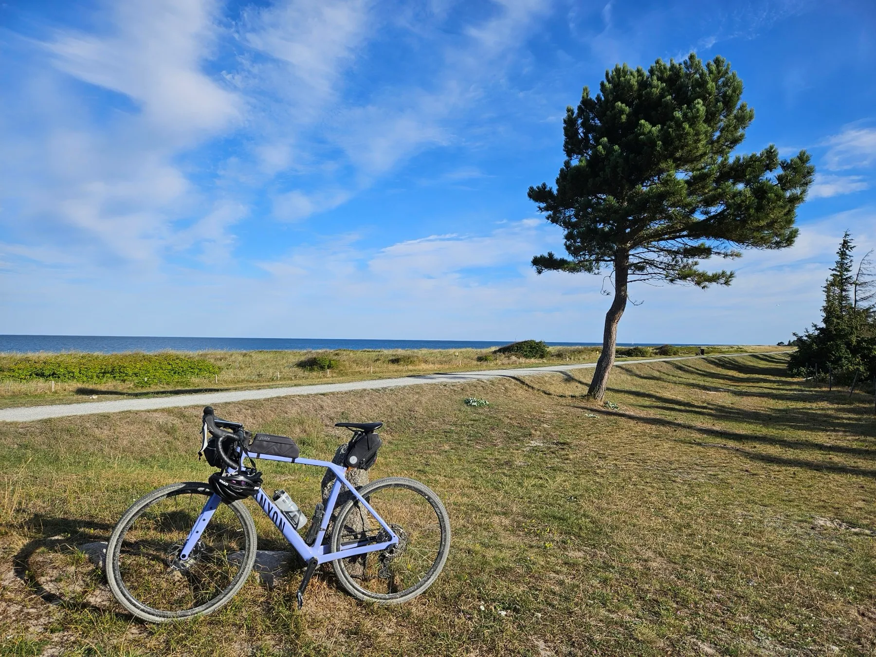 Ein helles Gravelbike steht am Rand einer Wiese, dahinter führt ein schmaler Radweg an der Küste entlang; eine vom Wind schräg gewachsene Kiefer, dahinter die Ostsee unter blauem Himmel.