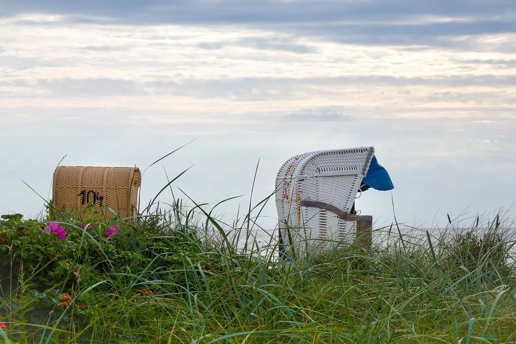Zwei Strandkörbe stehen in den Dünen über dem Wasser, davor blühende Kartoffelrosen mit roten Hagebutten und hohes Strandgras, dahinter die ruhige Ostsee unter aufgelockerter Bewölkung.