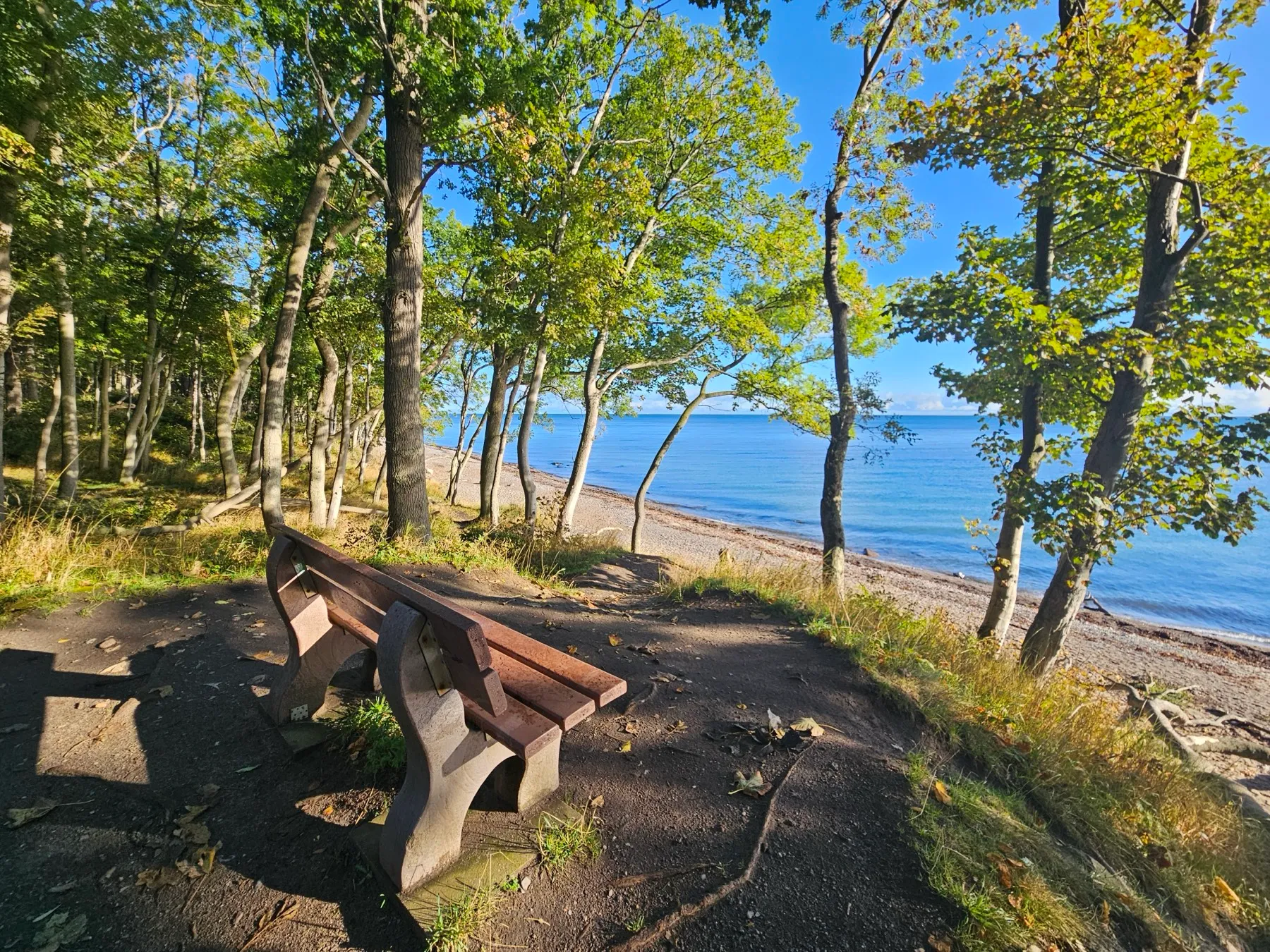 Eine leere Holzbank steht auf einem Weg oben am bewaldeten Steilufer, dahinter fällt der Hang zum schmalen Steinstrand ab, davor liegt die weite Ostsee.